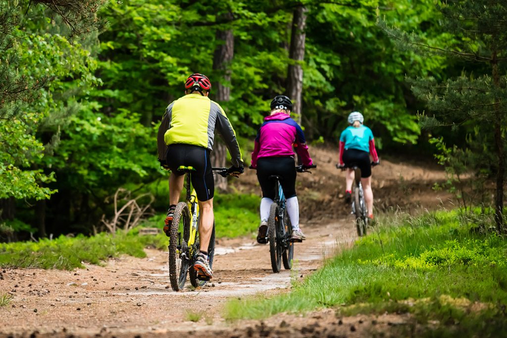Лучшие виды активного отдыха для всей семьи: идеи и советы