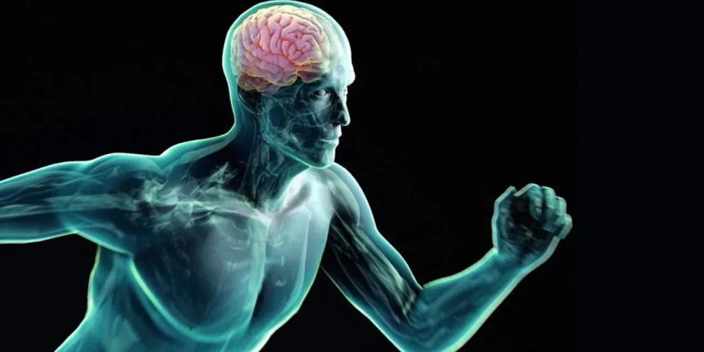 Почему спорт важен для укрепления иммунитета