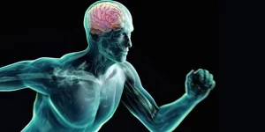 Почему спорт важен для укрепления иммунитета